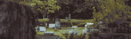 the wizard and the werewolf